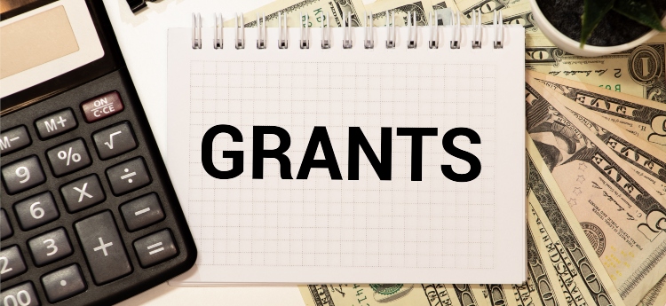 Global Vibrant Limited | Grant